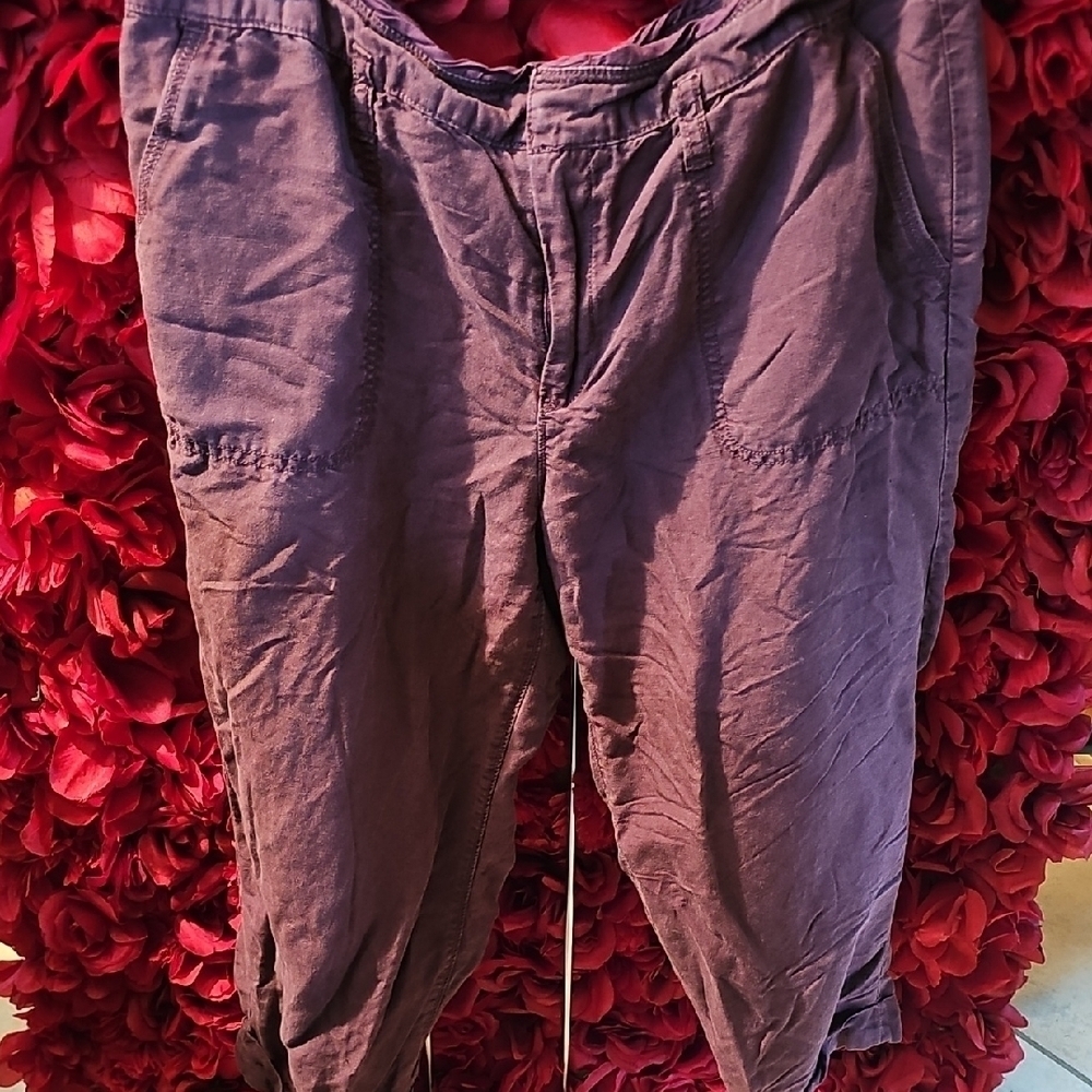 Ann Taylor Loft Women's Plum Capri Pants Size 12